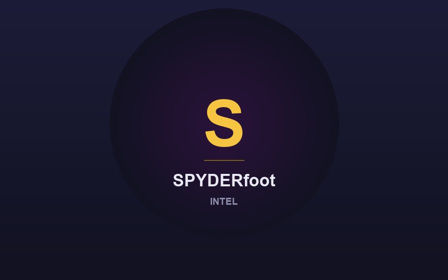 SPYDERfoot screenshot